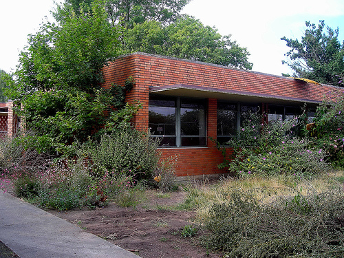 Dammasch State Hospital Oregon